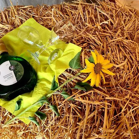 Schlaffass Mit Wellness In Alter Scheune * Seinsheim