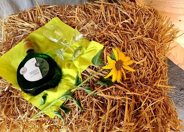 Schlaffass Mit Wellness In Alter Scheune * Seinsheim